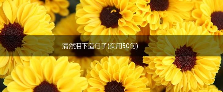 潸然泪下造句子(实用50句),第1张