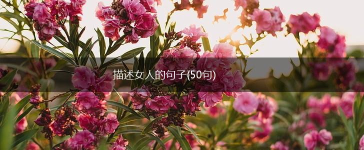 描述女人的句子(50句),第1张