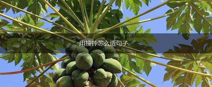 用撞钟怎么造句子,第1张 用撞钟怎么造句子,第1张