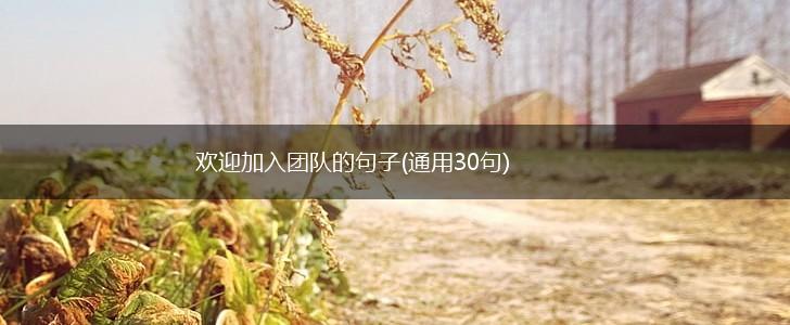 欢迎加入团队的句子(通用30句),第1张