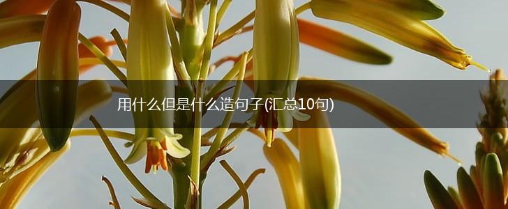 用什么但是什么造句子(汇总10句),第1张