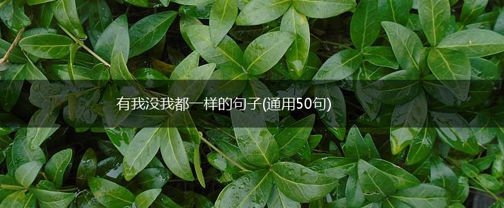 有我没我都一样的句子(通用50句),第1张