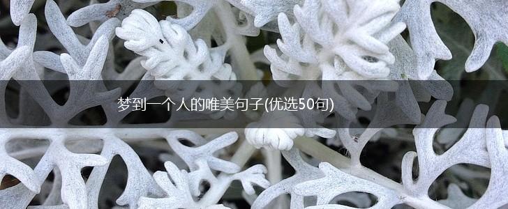 梦到一个人的唯美句子(优选50句),第1张
