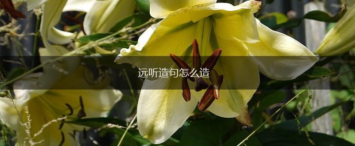 远听造句怎么造,第1张 远听造句怎么造,第1张