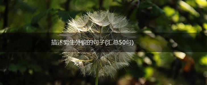 描述男生外貌的句子(汇总50句),第1张