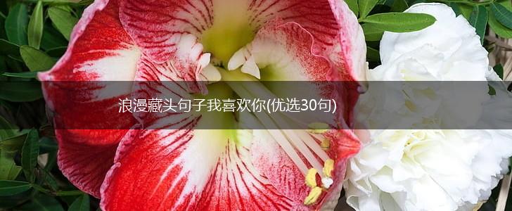 浪漫藏头句子我喜欢你(优选30句),第1张