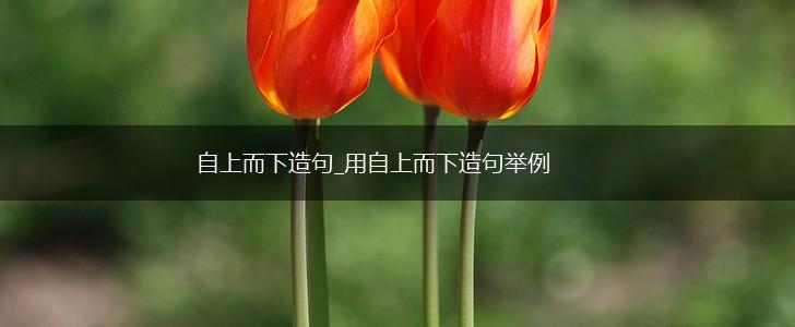 自上而下造句_用自上而下造句举例,第1张