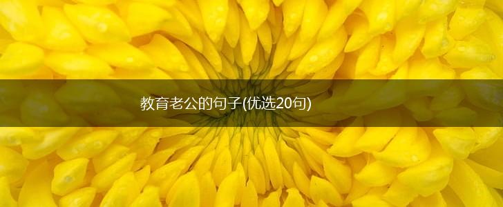 教育老公的句子(优选20句),第1张
