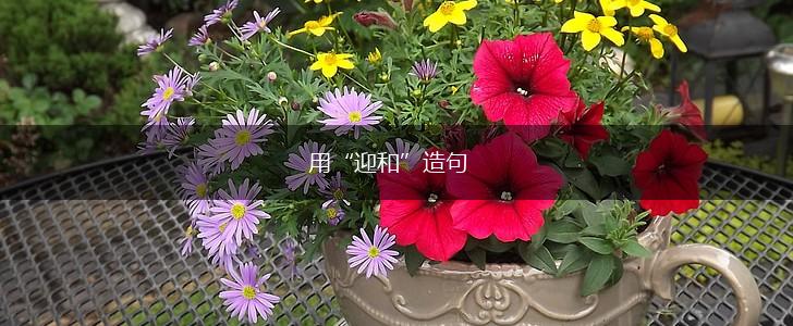 用“迎和”造句,第1张