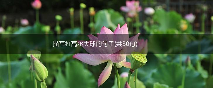 描写打高尔夫球的句子(共30句),第1张
