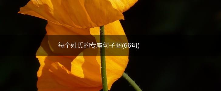 每个姓氏的专属句子图(66句),第1张