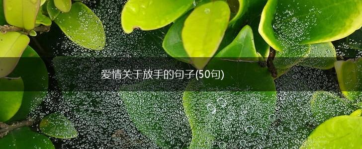爱情关于放手的句子(50句),第1张