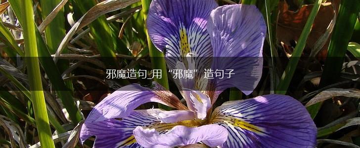 邪魔造句_用“邪魔”造句子,第1张