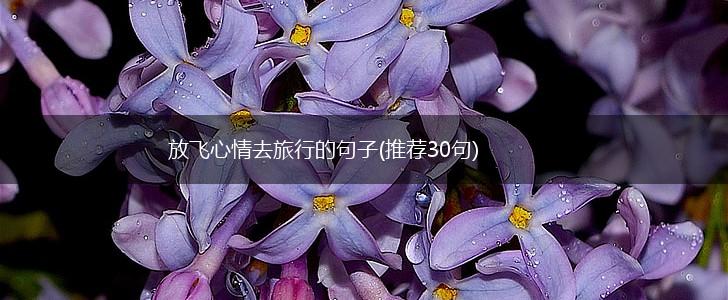 放飞心情去旅行的句子(推荐30句),第1张