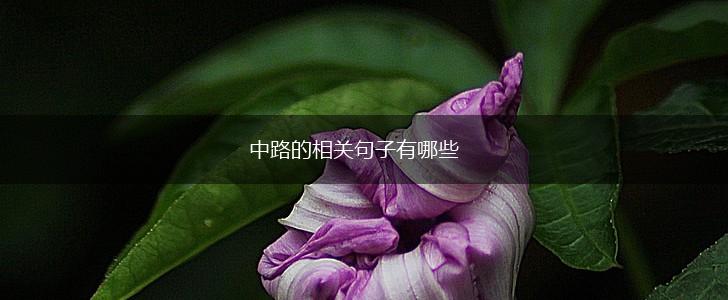 中路的相关句子有哪些,第1张