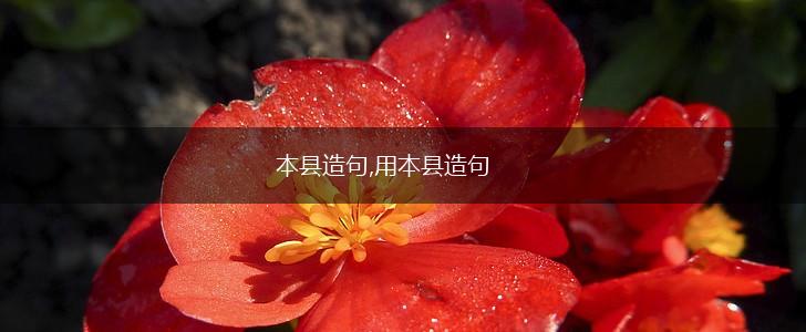 本县造句,用本县造句,第1张 本县造句,用本县造句,第1张