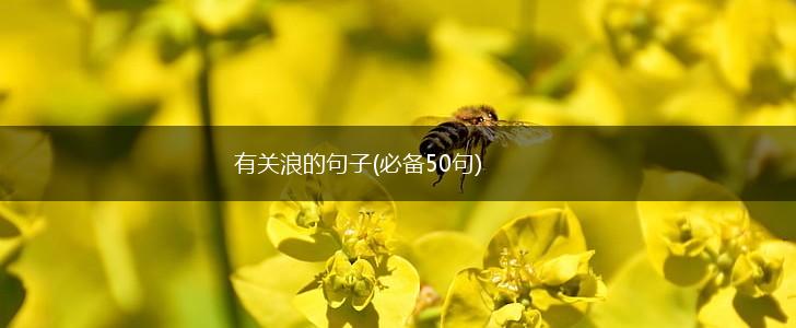 有关浪的句子(必备50句),第1张