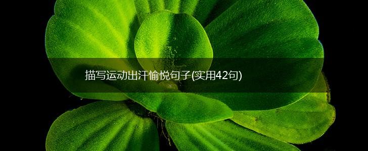 描写运动出汗愉悦句子(实用42句),第1张