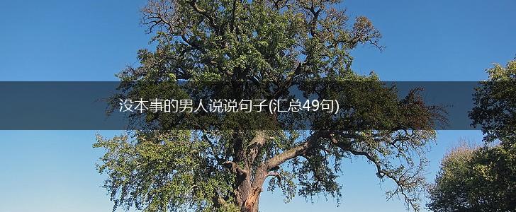 没本事的男人说说句子(汇总49句),第1张