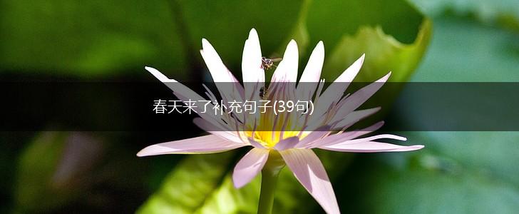春天来了补充句子(39句),第1张