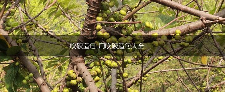 吹破造句_用吹破造句大全,第1张