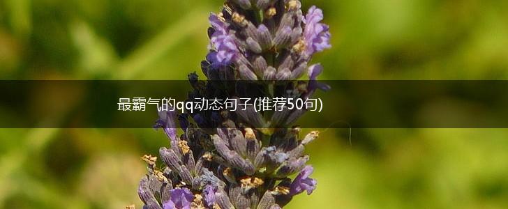 最霸气的qq动态句子(推荐50句),第1张