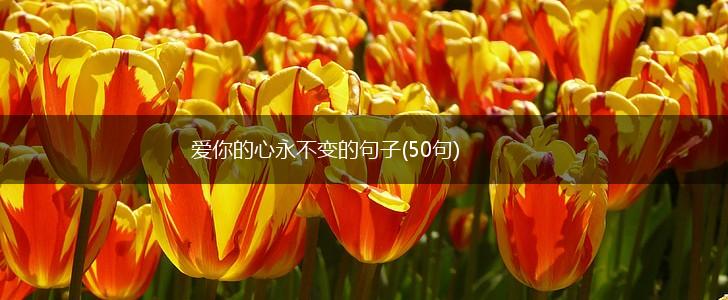 爱你的心永不变的句子(50句),第1张