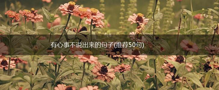 有心事不说出来的句子(推荐50句),第1张