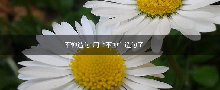 不惮造句_用“不惮”造句子,第1张