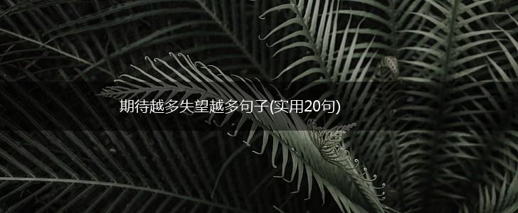 期待越多失望越多句子(实用20句),第1张