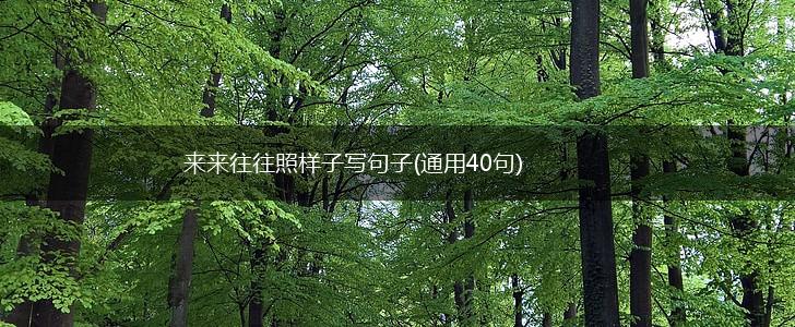 来来往往照样子写句子(通用40句),第1张