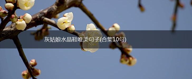 灰姑娘水晶鞋唯美句子(合集10句),第1张