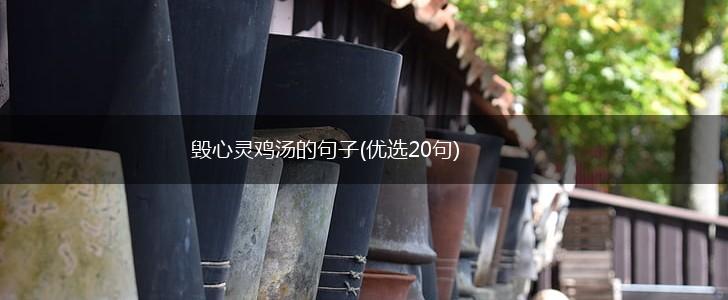 毁心灵鸡汤的句子(优选20句),第1张