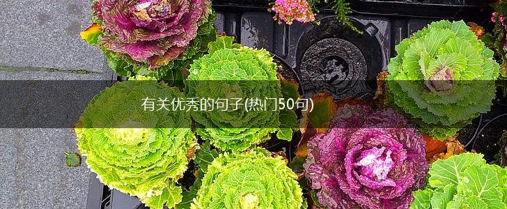 有关优秀的句子(热门50句),第1张