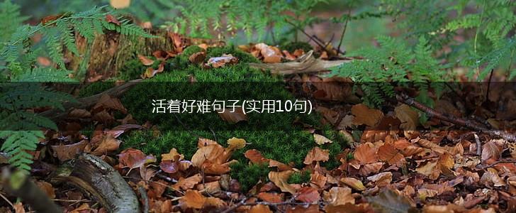 活着好难句子(实用10句),第1张