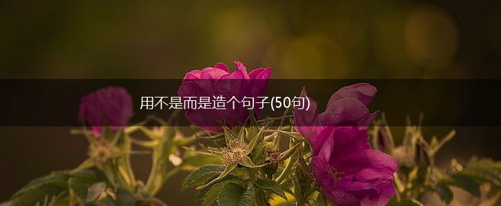 用不是而是造个句子(50句),第1张