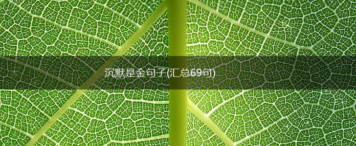 沉默是金句子(汇总69句),第1张