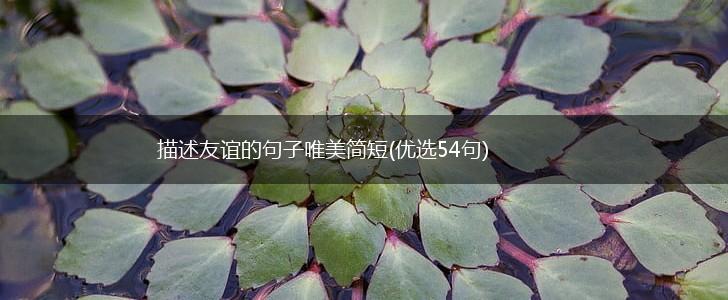 描述友谊的句子唯美简短(优选54句),第1张