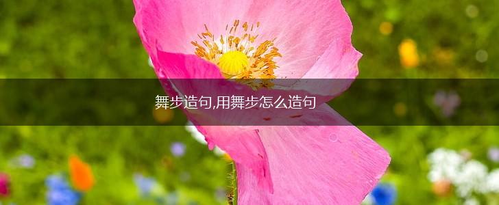 舞步造句,用舞步怎么造句,第1张