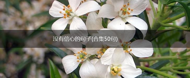 没有信心的句子(合集50句),第1张