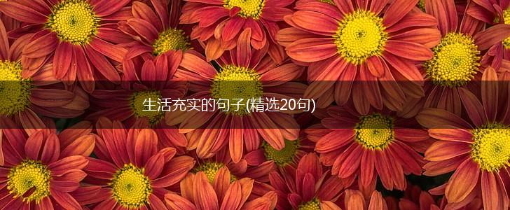 生活充实的句子(精选20句),第1张