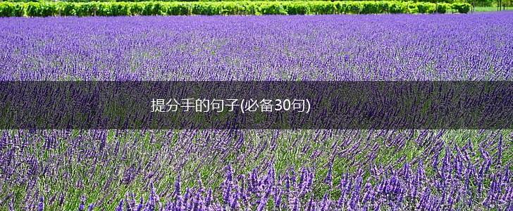 提分手的句子(必备30句),第1张