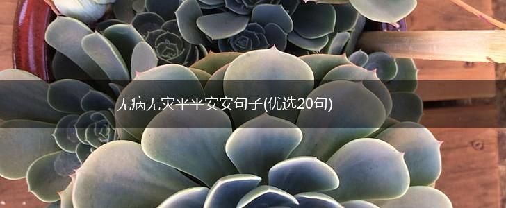 无病无灾平平安安句子(优选20句),第1张