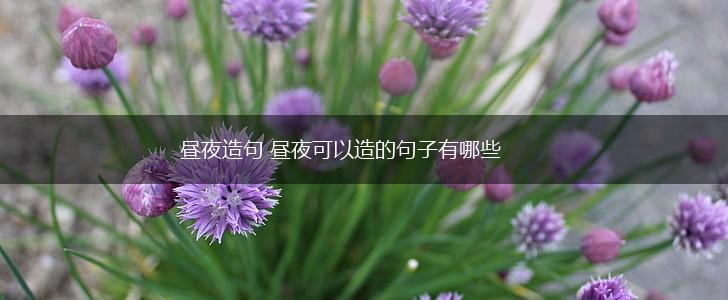 昼夜造句 昼夜可以造的句子有哪些,第1张 昼夜造句 昼夜可以造的句子有哪些,第1张