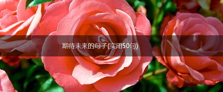 期待未来的句子(实用50句),第1张