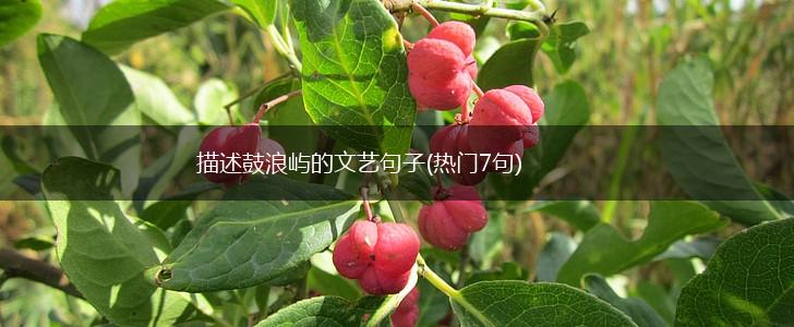 描述鼓浪屿的文艺句子(热门7句),第1张