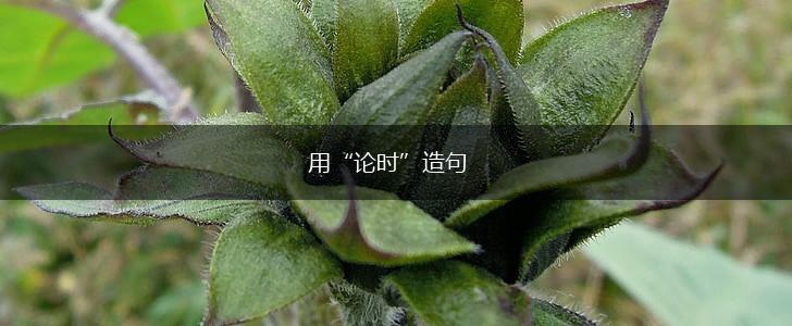 用“论时”造句,第1张
