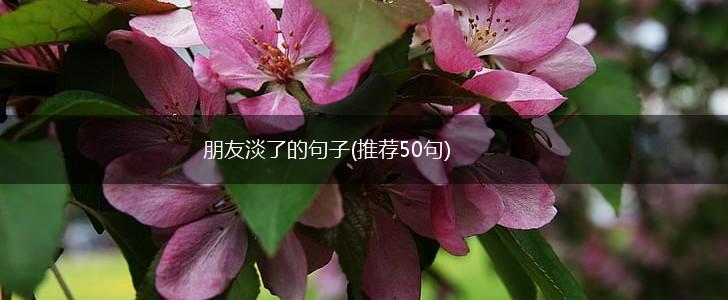 朋友淡了的句子(推荐50句),第1张