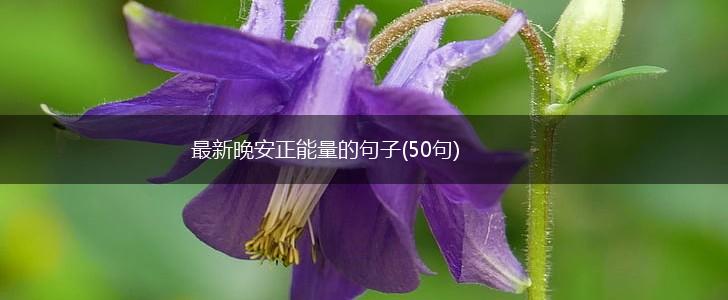 最新晚安正能量的句子(50句),第1张