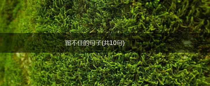 留不住的句子(共10句),第1张